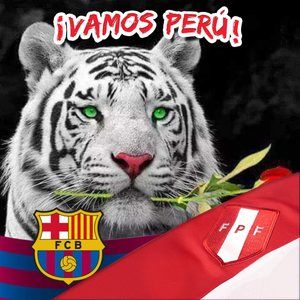 Meet your Posher, Erick